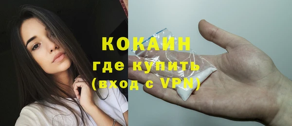 ешки Весьегонск