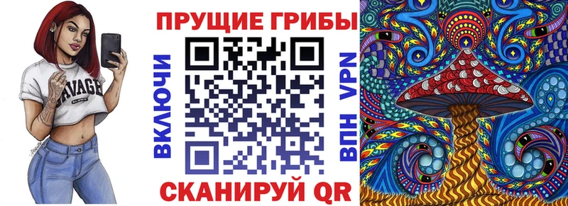 магазин продажи наркотиков  МЕГА как зайти  Галлюциногенные грибы MAGIC MUSHROOMS  Красково 